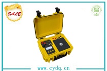 CYZRC-10Q 直流电阻速测仪