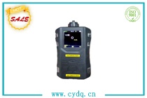 CY-YDQT 便携式有毒气体报警仪