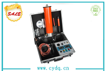CYZG-300B 便携式直流威斯汀官网娱乐app下载发生器